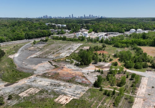 The Impact of Development Projects on Atlanta's Local Environment: A Comprehensive Guide